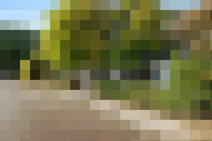 Heerstraat 2 Leende thumbnail 7