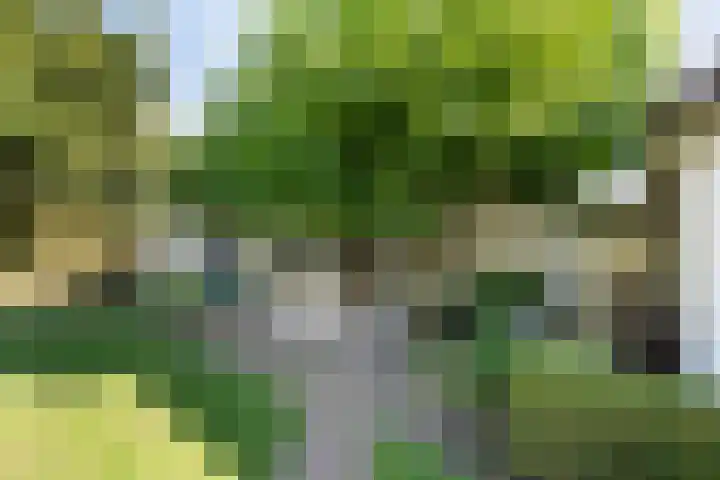 Heerstraat 2 Leende thumbnail 87