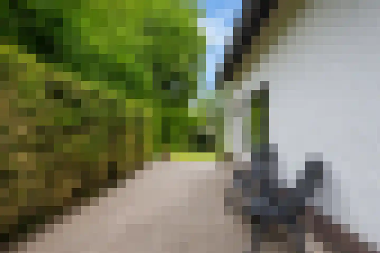 Heerstraat 21 Epen thumbnail 20