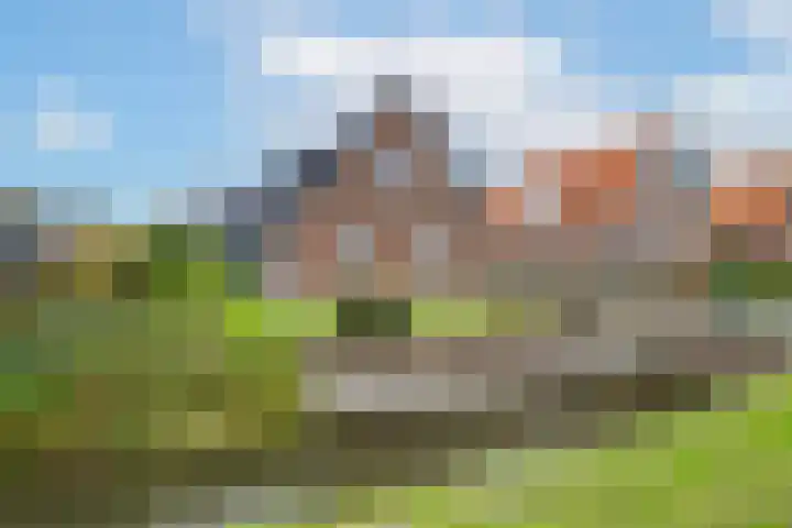 Heerstraat 38 Maasbommel thumbnail 4