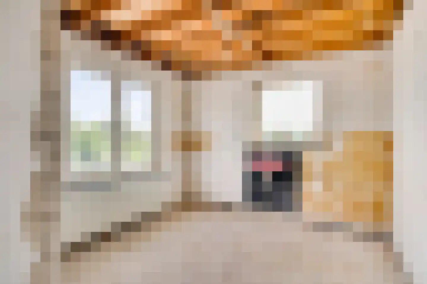Heerstraat-Noord 16 Beegden thumbnail 33