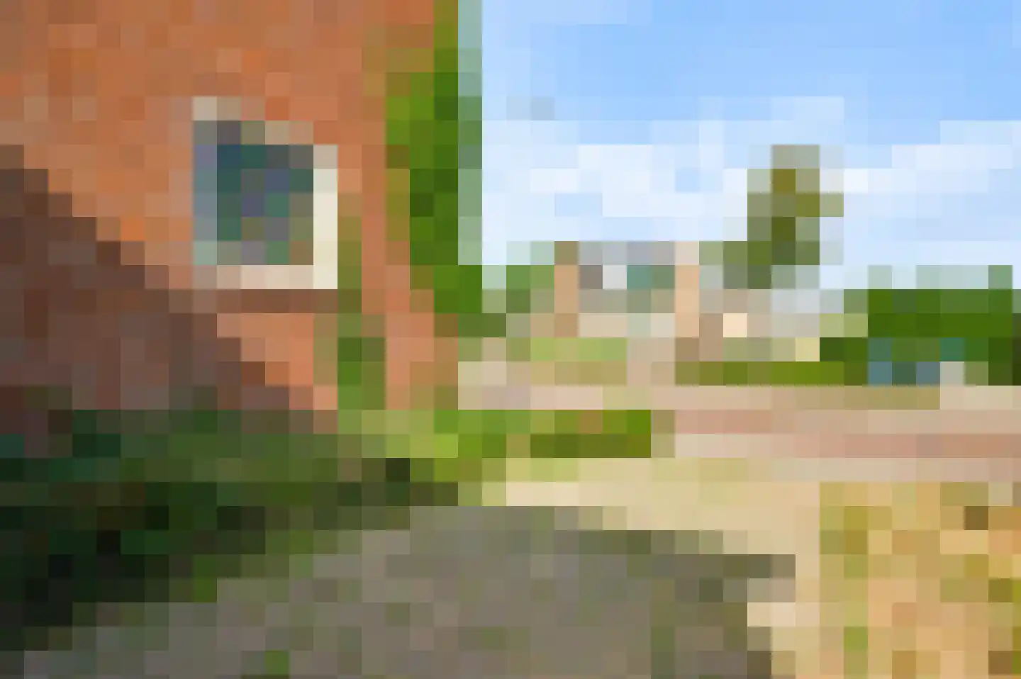Heerstraat-Noord 16 Beegden thumbnail 60