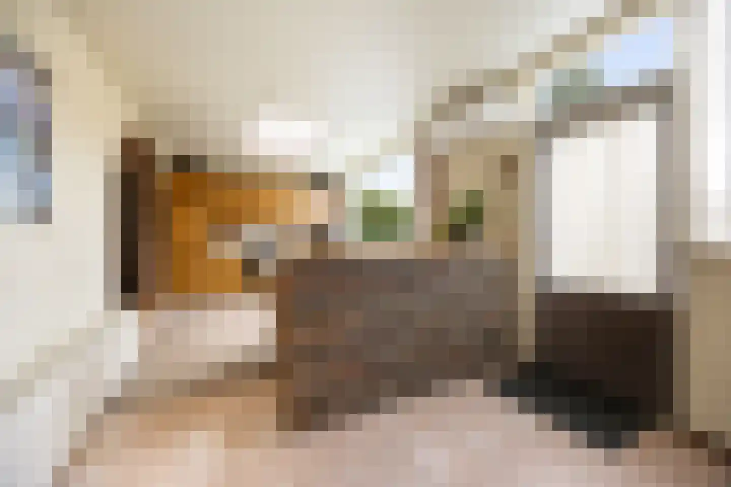 Heerstraat Noord 74 Stein thumbnail 21