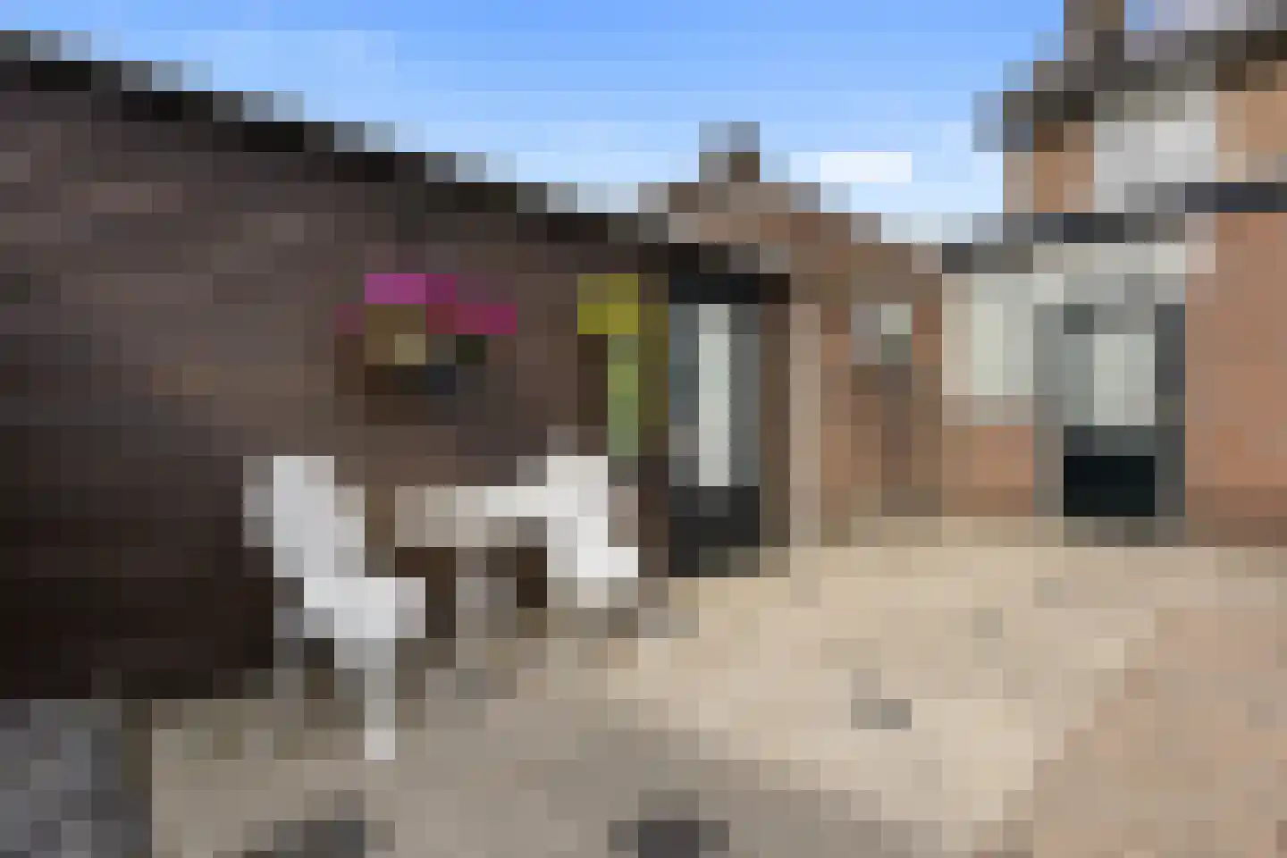 Heerstraat Noord 74 Stein thumbnail 40