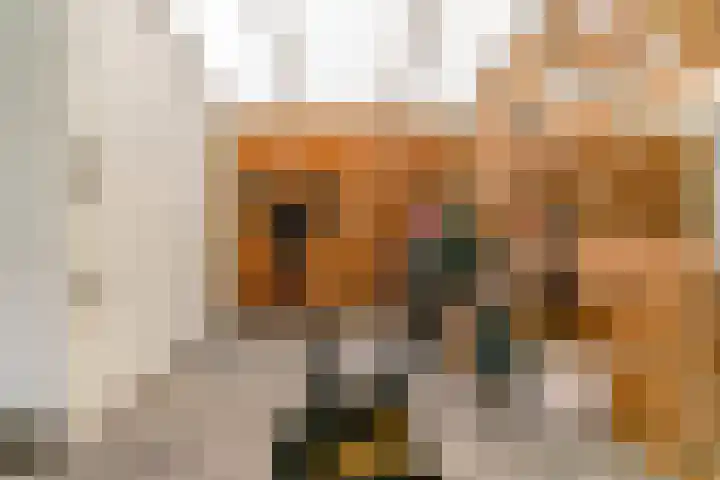 Heerstraat Zuid 5 Stein thumbnail 31