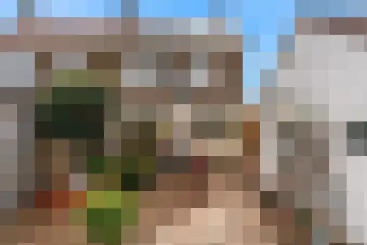 Heerstraat Zuid 5 Stein thumbnail 36