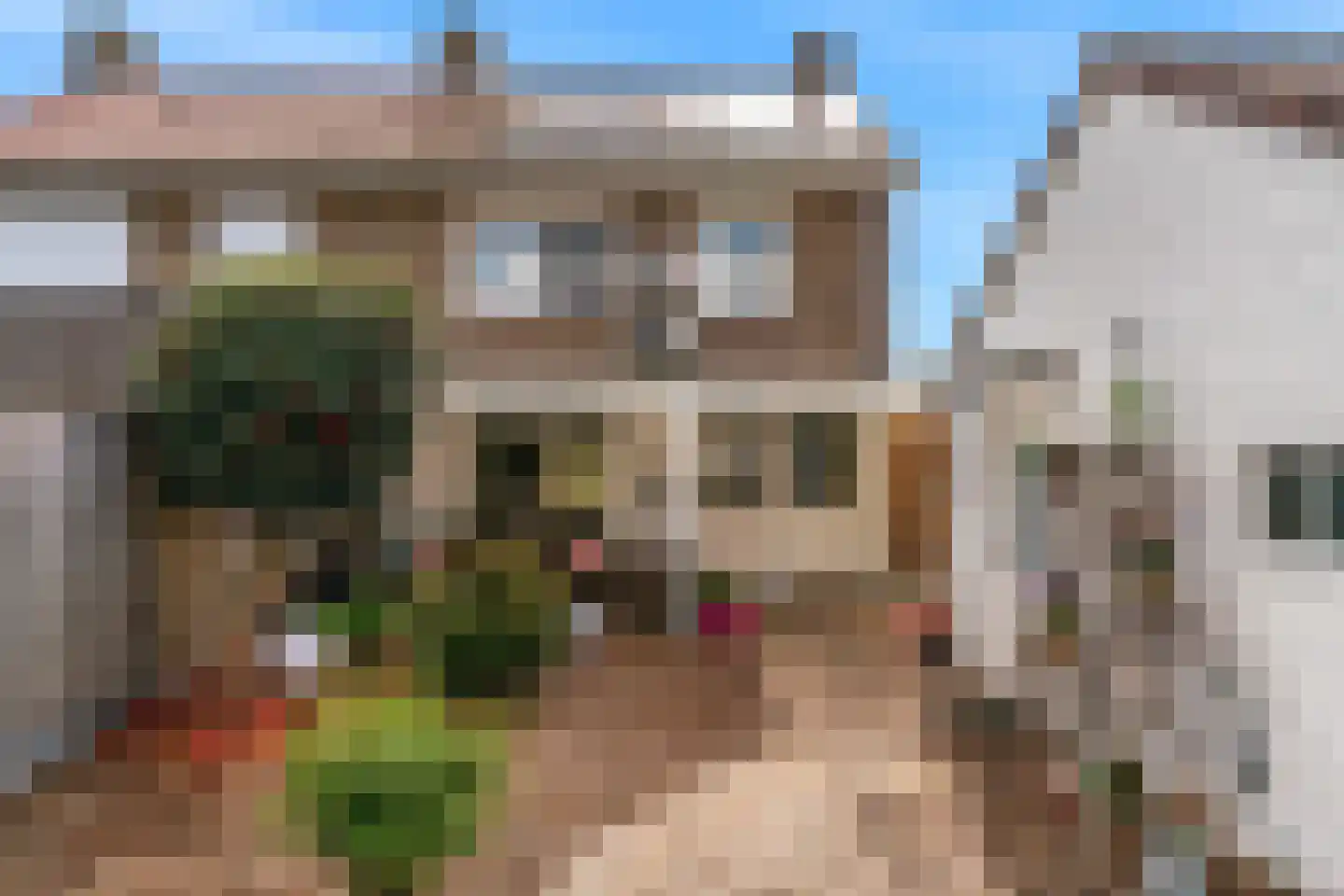 Heerstraat Zuid 5 Stein thumbnail 36