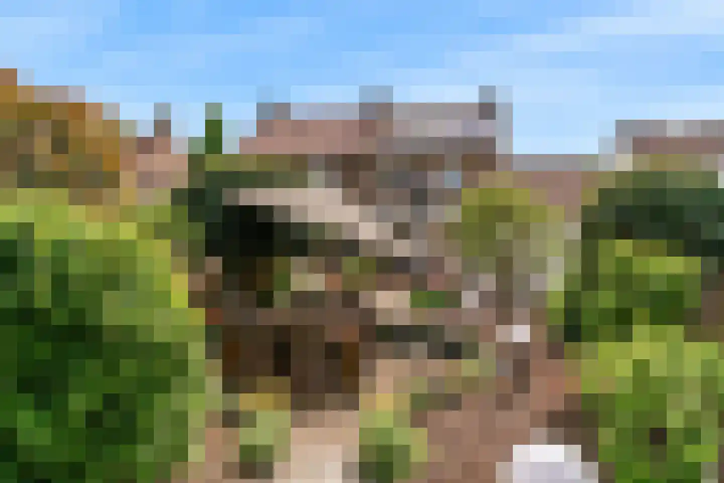 Heerstraat Zuid 5 Stein thumbnail 37