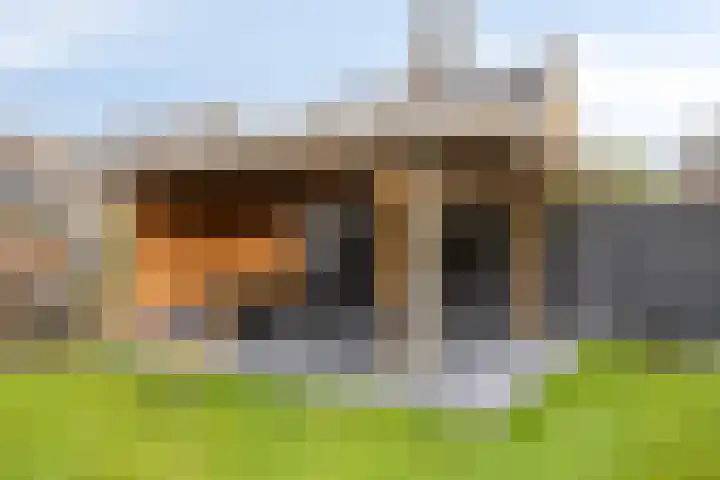 Heerstraat Zuid 63 Stein thumbnail 33