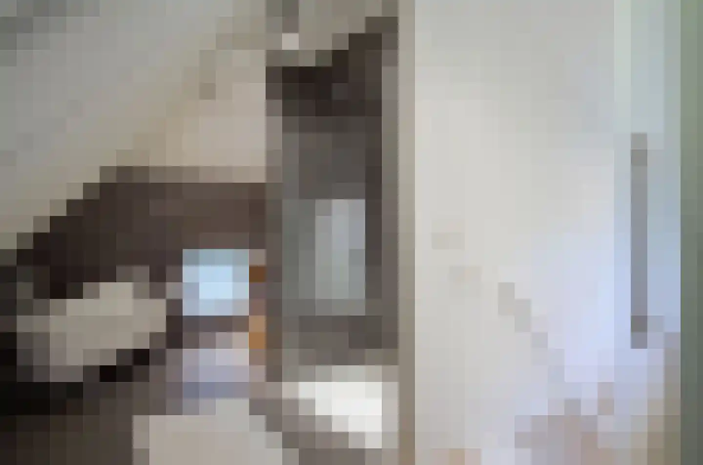 Heersweg 2 Harskamp thumbnail 22