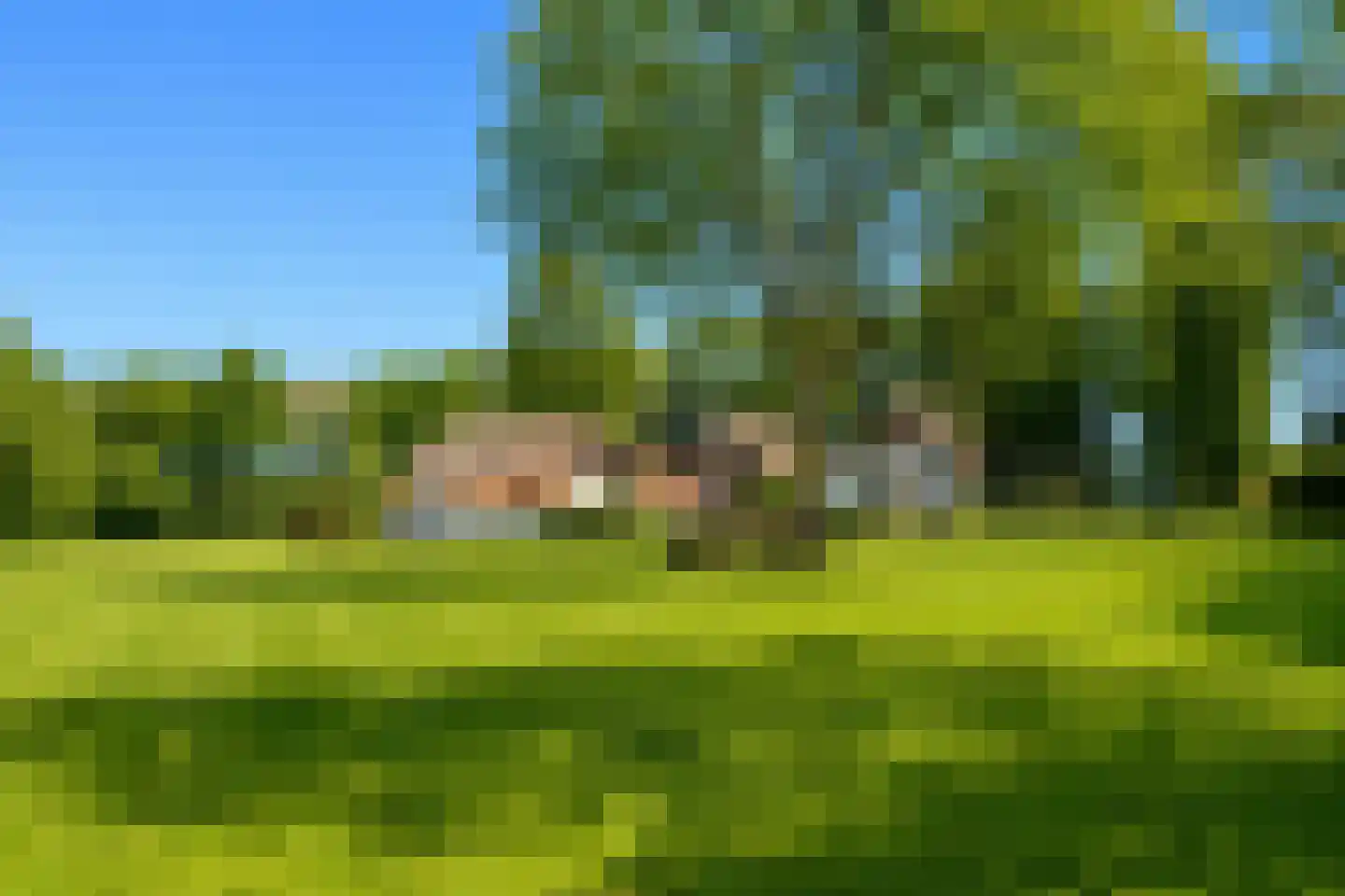 Heersweg 2 Harskamp thumbnail 31