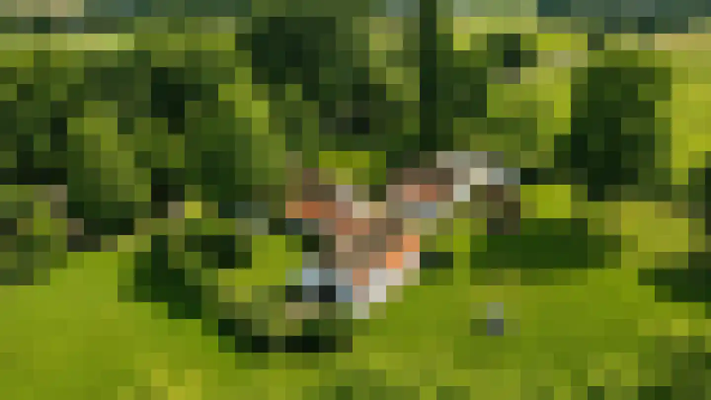 Heersweg 2 Harskamp thumbnail 33