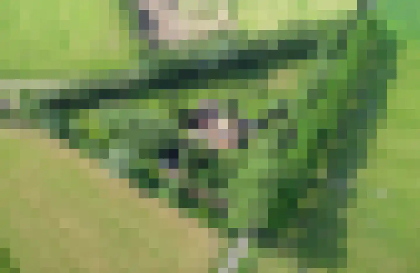 Heersweg 2 Harskamp thumbnail 35