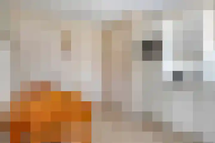 Heersweg 20 B Druten thumbnail 18