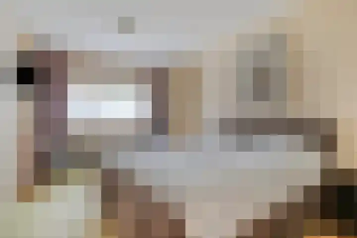Heersweg 20 B Druten thumbnail 19