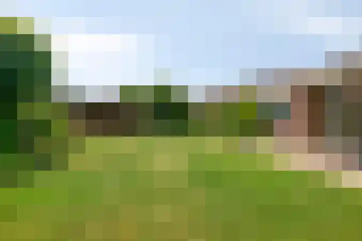 Heersweg 20 B Druten thumbnail 32