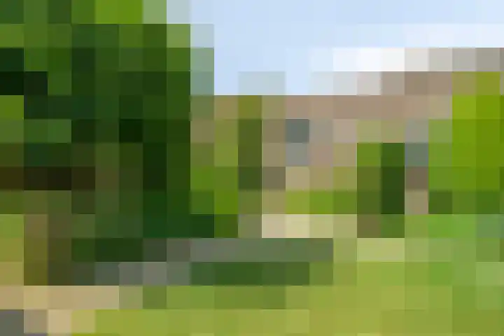 Heersweg 20 B Druten thumbnail 34