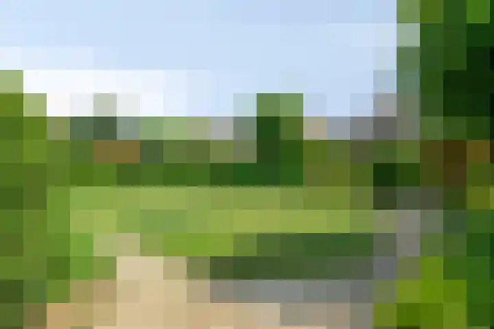 Heersweg 20 B Druten thumbnail 4