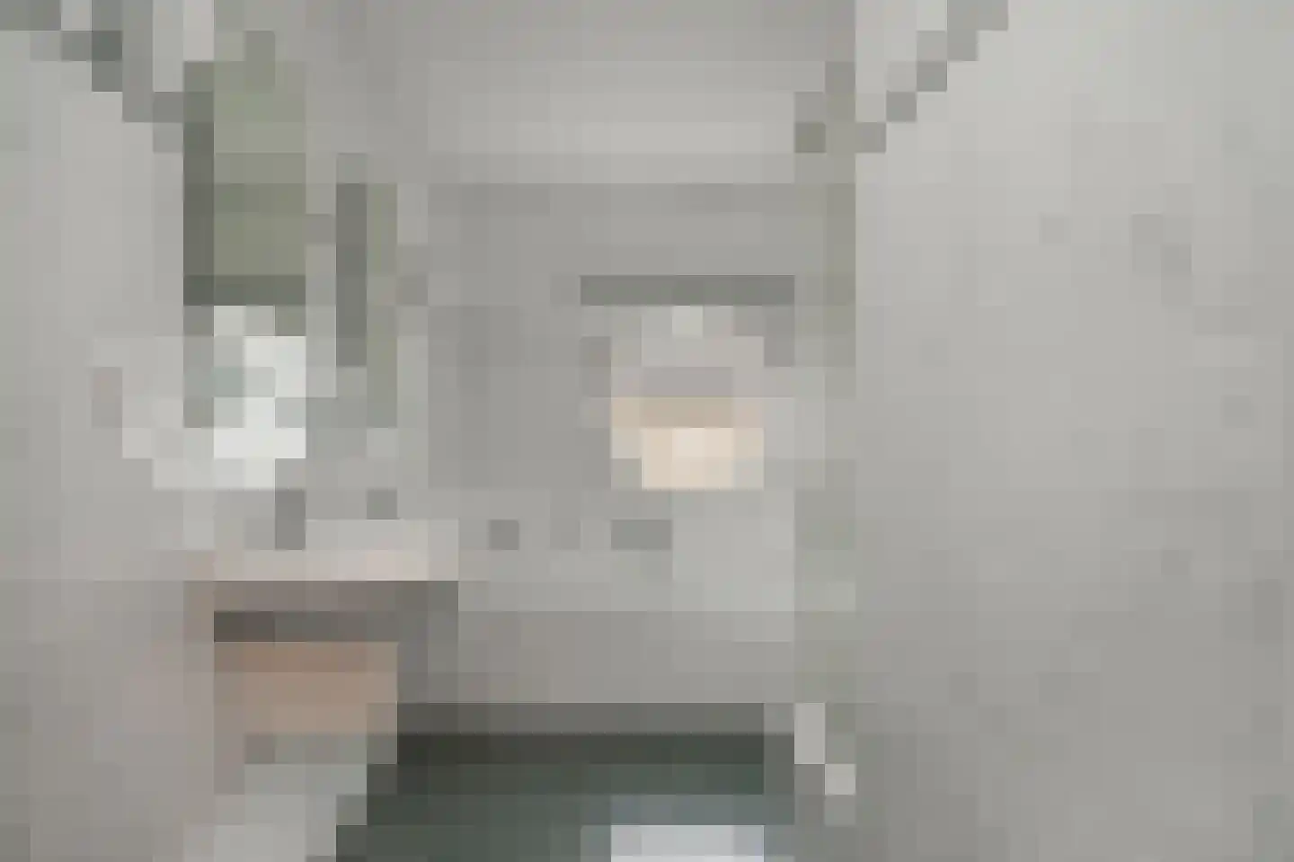 Heersweg 9 Druten thumbnail 26