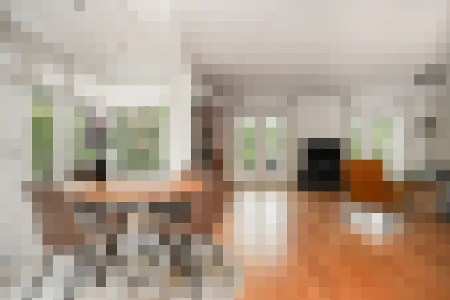 Heersweg 9 Druten thumbnail 4