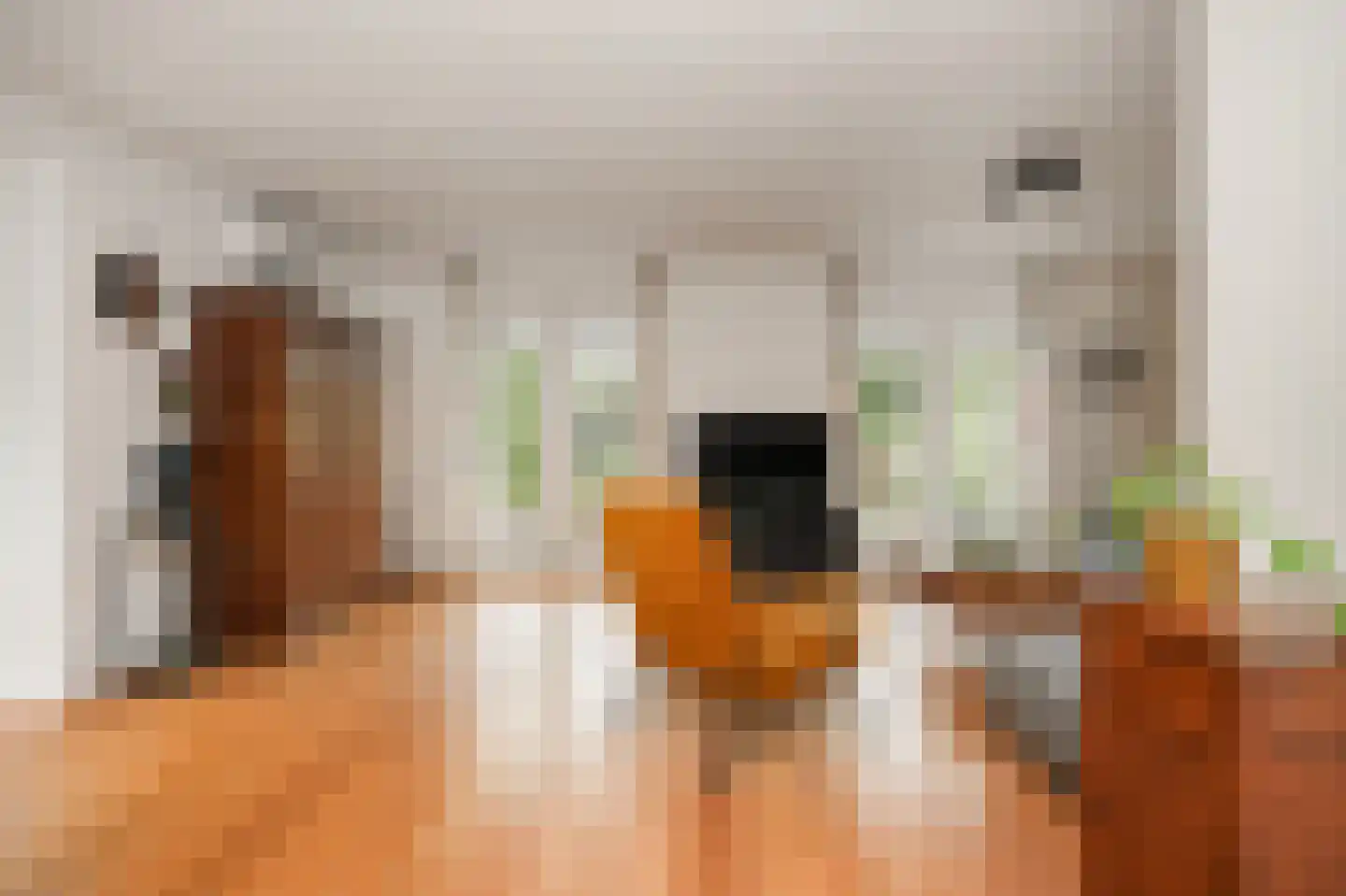 Heersweg 9 Druten thumbnail 6