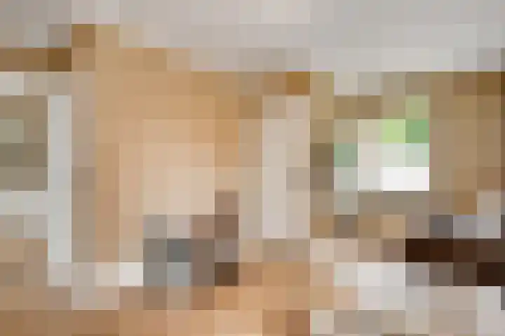 Heerweg 17 Buggenum thumbnail 8