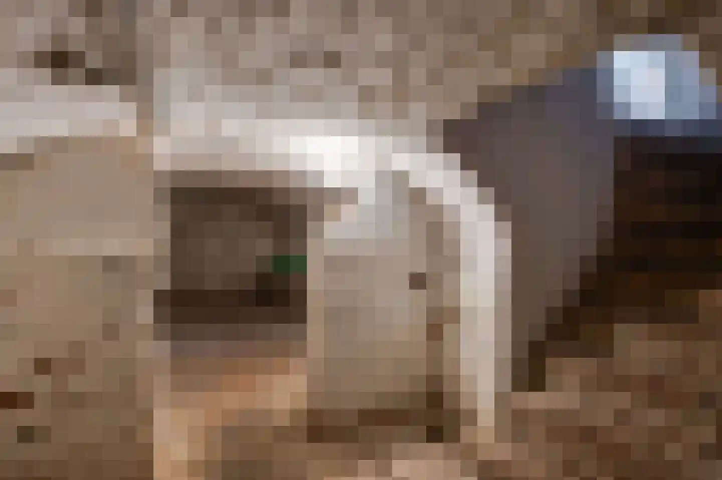 Heerweg 2 Buggenum thumbnail 24