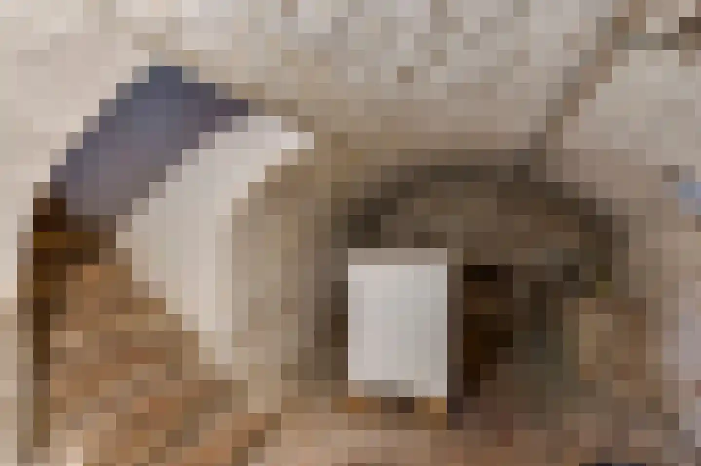 Heerweg 2 Buggenum thumbnail 25