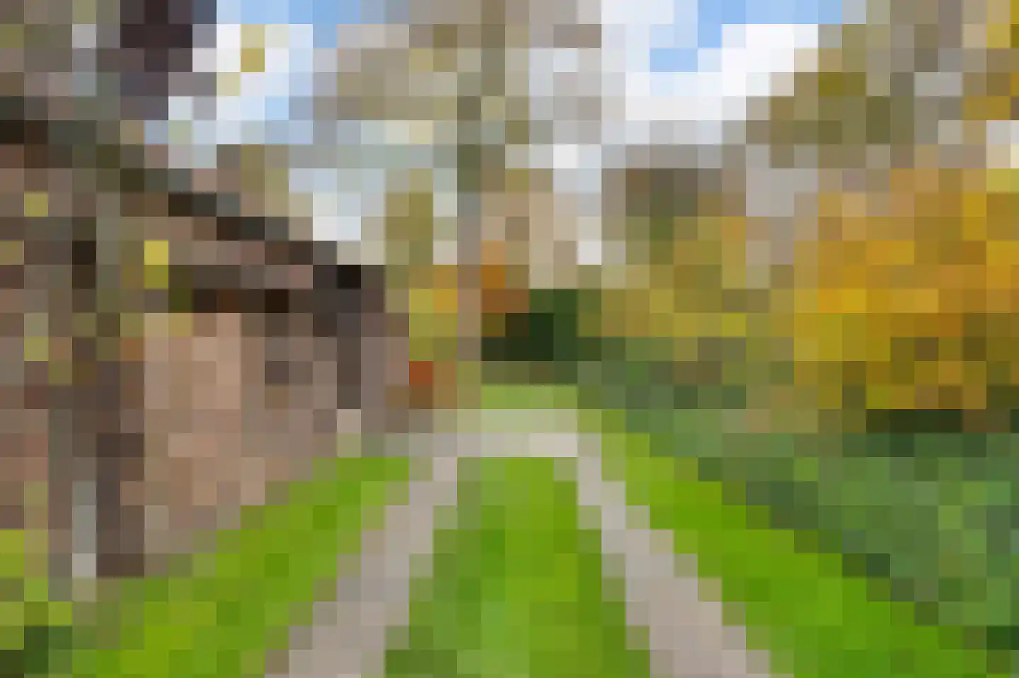 Heerweg 2 Buggenum thumbnail 47