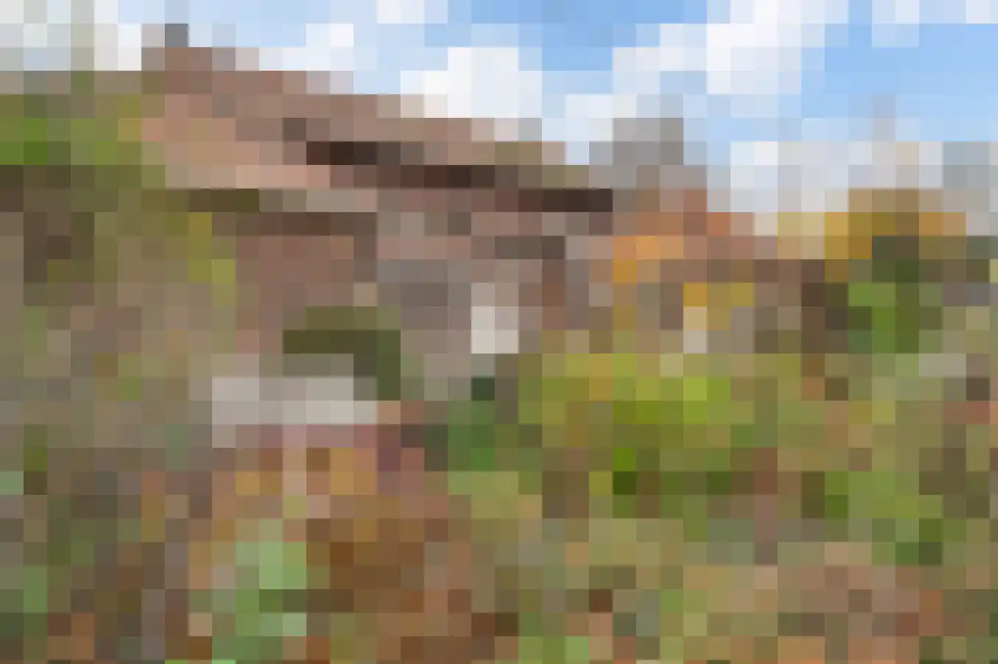 Heerweg 2 Buggenum thumbnail 50