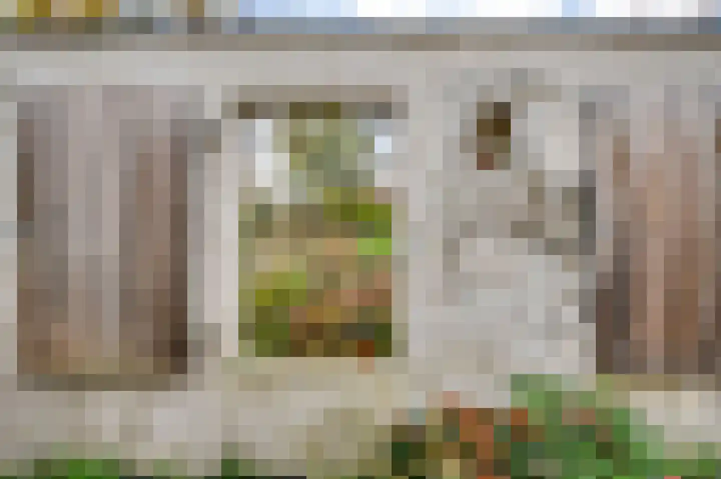 Heerweg 2 Buggenum thumbnail 56