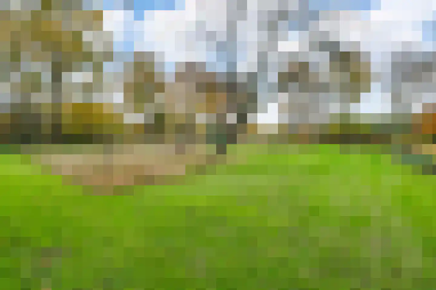 Heerweg 2 Buggenum thumbnail 59