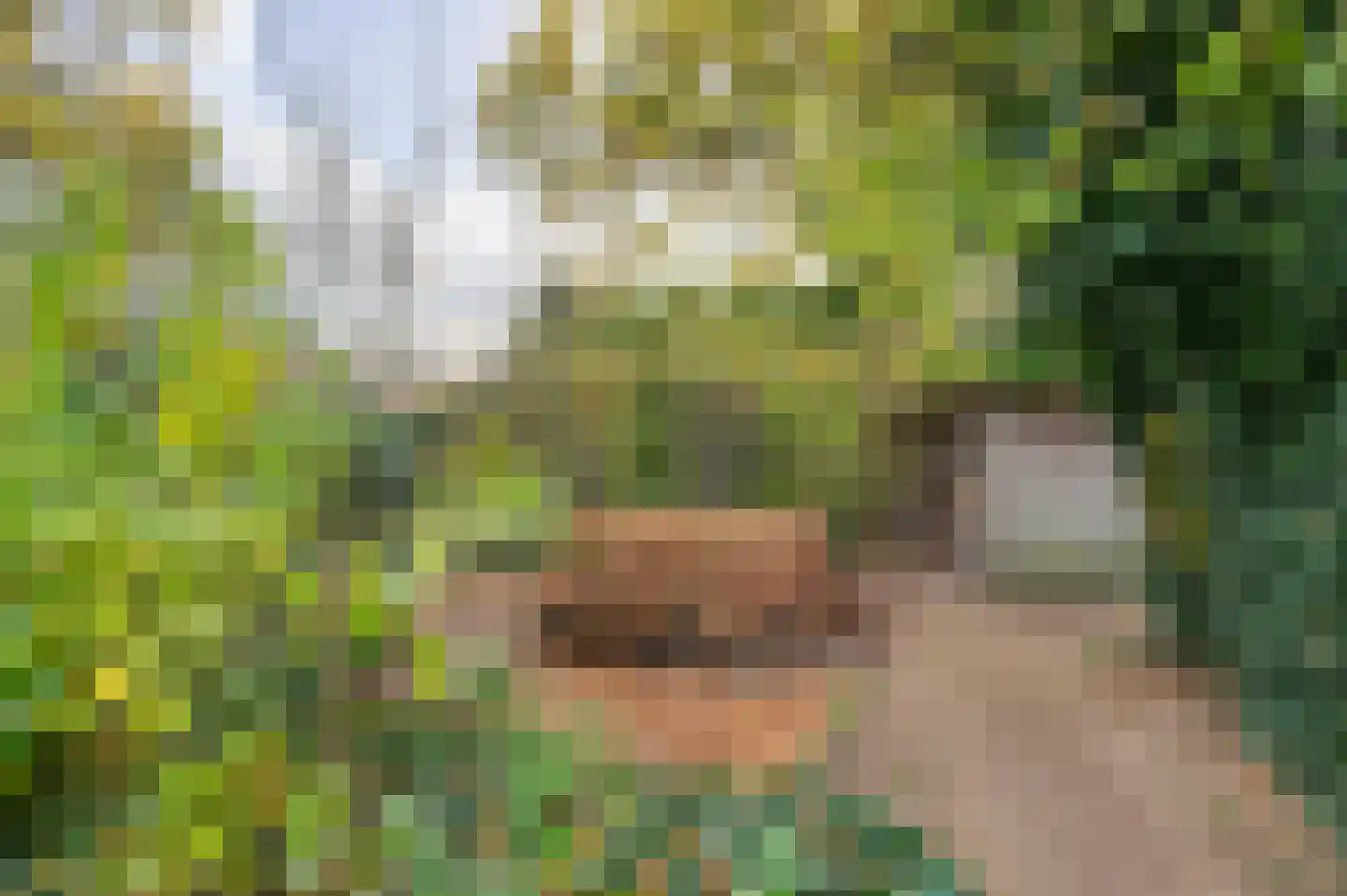 Heerweg 2 Buggenum thumbnail 62
