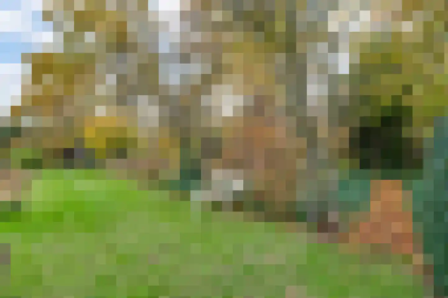 Heerweg 2 Buggenum thumbnail 64