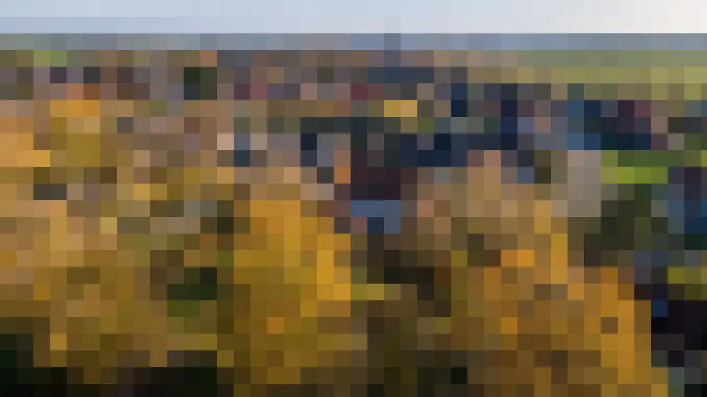 Heerweg 2 Buggenum thumbnail 70