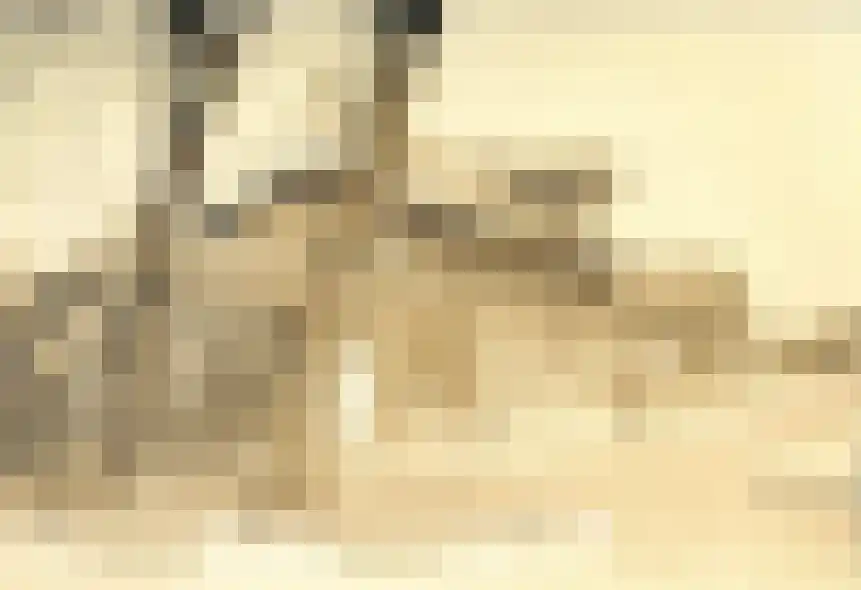 Heerweg 2 Buggenum thumbnail 82