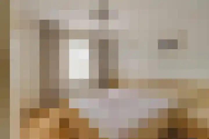 Heerweg 28 Echt thumbnail 22