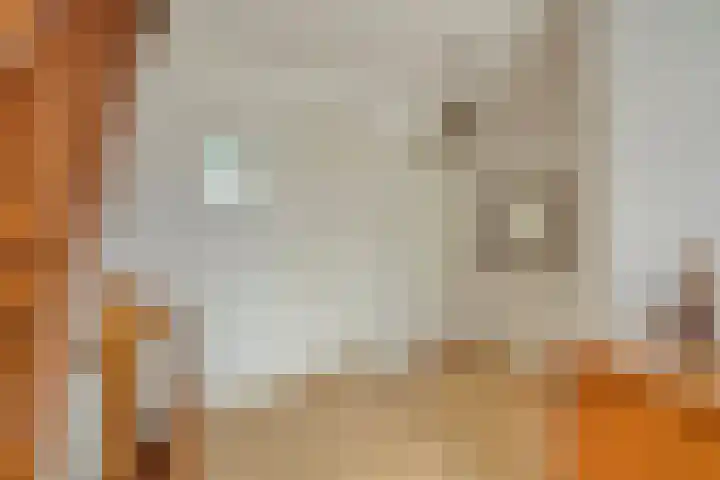 Heerweg 28 Echt thumbnail 25