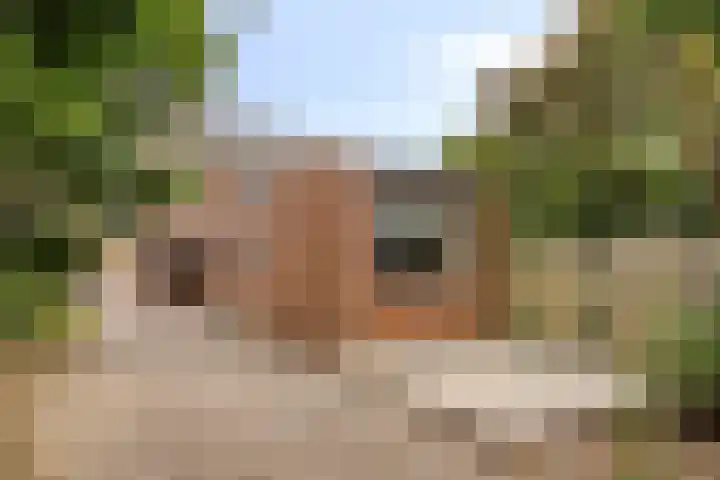 Heerweg 28 Echt thumbnail 32