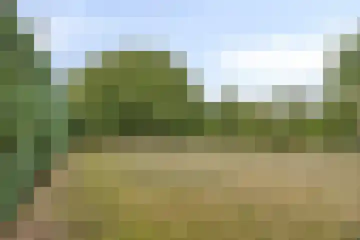 Heerweg 28 Echt thumbnail 33