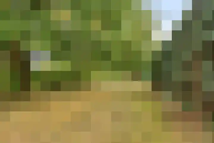 Heerweg 28 Echt thumbnail 34