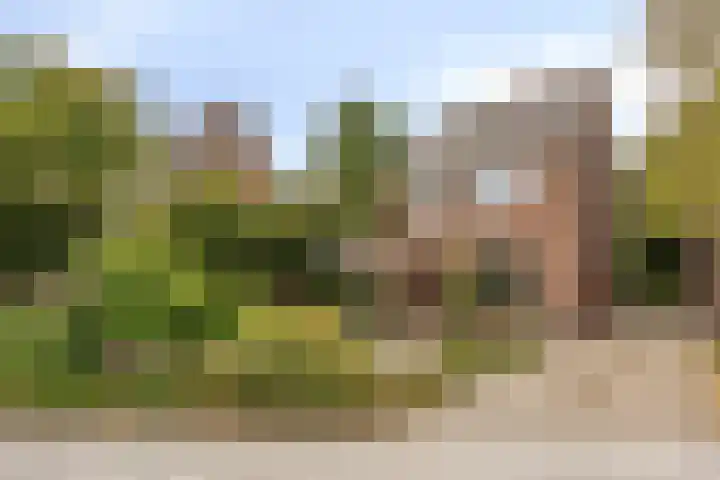 Heerweg 28 Echt thumbnail 35