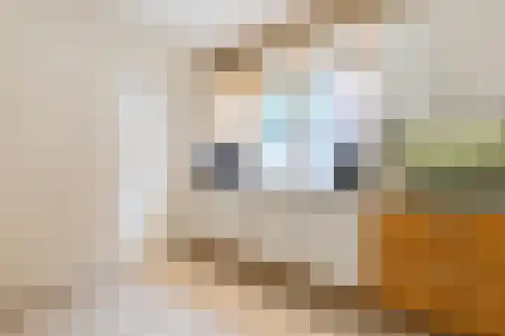Heerweg 34 Echt thumbnail 17
