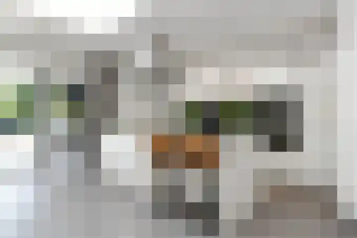 Heerweg 35 Buggenum thumbnail 14