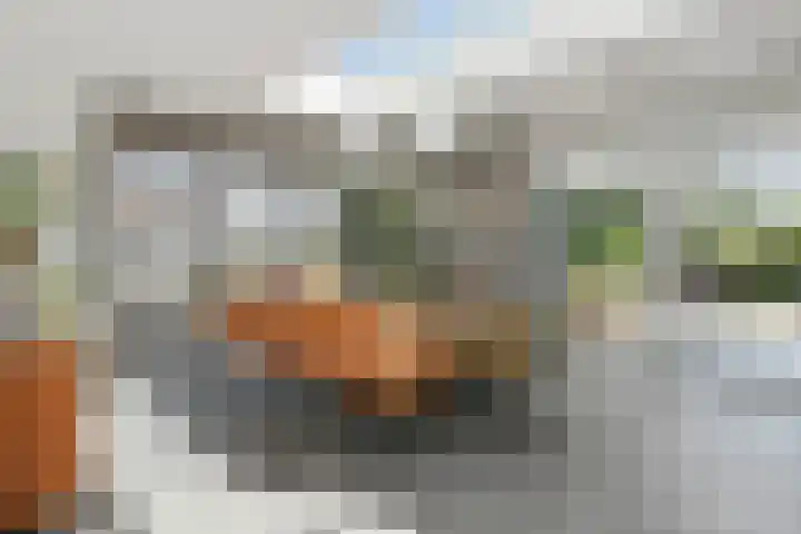 Heerweg 35 Buggenum thumbnail 15