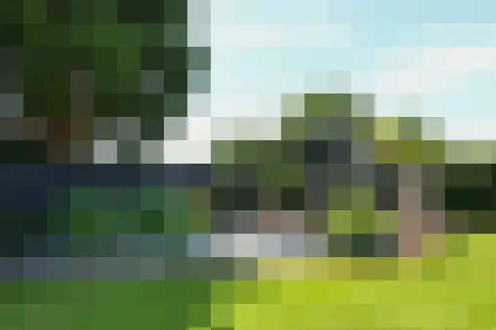 Heerweg 35 Buggenum thumbnail 42