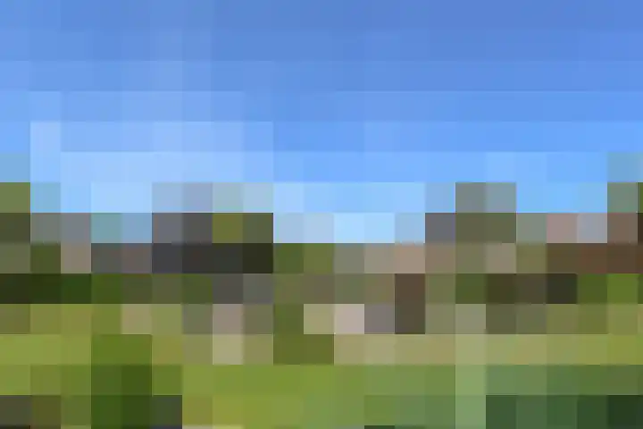 Heerweg 35 Buggenum thumbnail 44