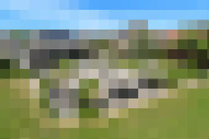 Heerweg 35 Buggenum thumbnail 8