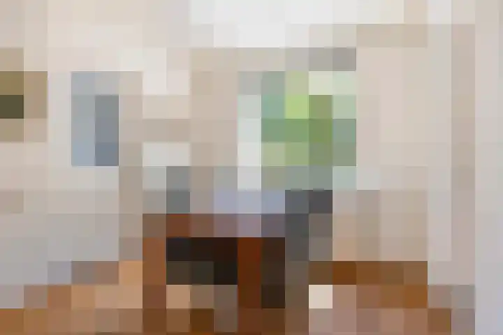 Heerweg 54 Echt thumbnail 12