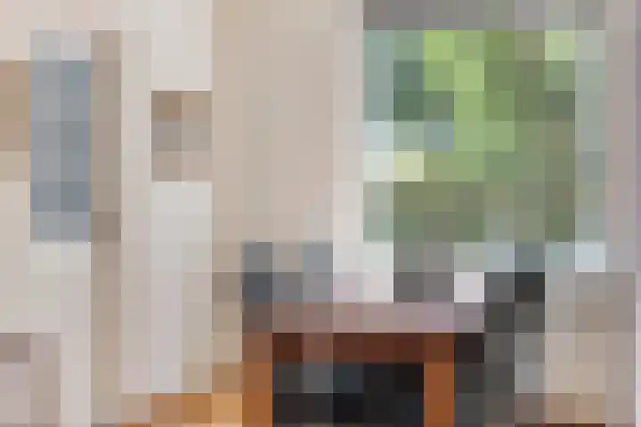 Heerweg 54 Echt thumbnail 17